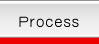 PROCESS