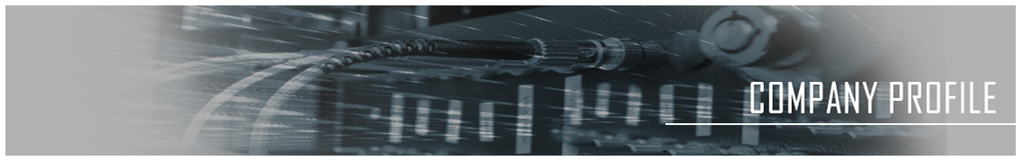 COMPANY PROFILE